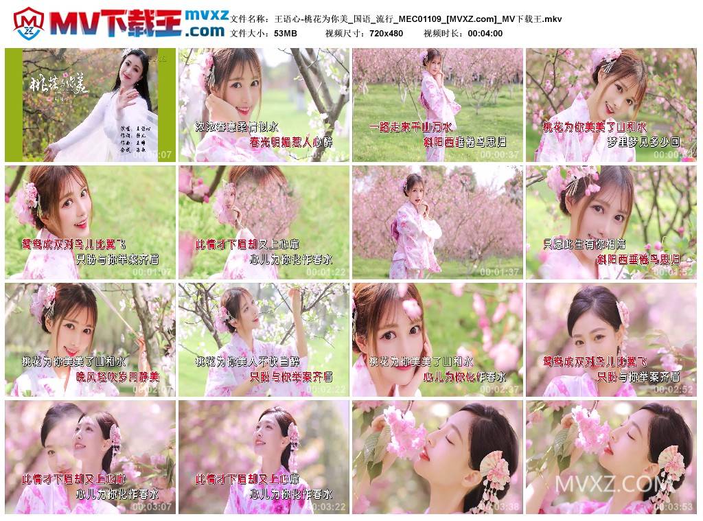 王语心-桃花为你美_国语_流行_MEC01109